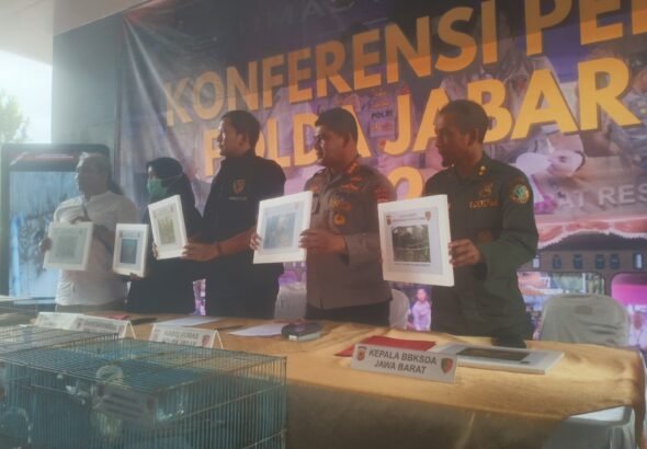 IMG_20260129_125321_HDR